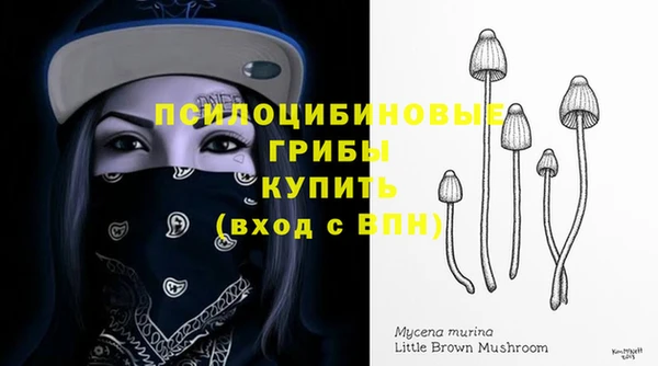 ECSTASY Абинск