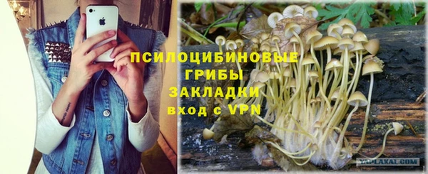 ECSTASY Абинск